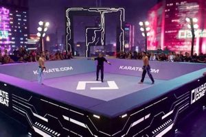 Is Karate Combat True MMA? A Deep Dive | Ultimate Guide to MMA: Training, Techniques, and Top Fighters in The World