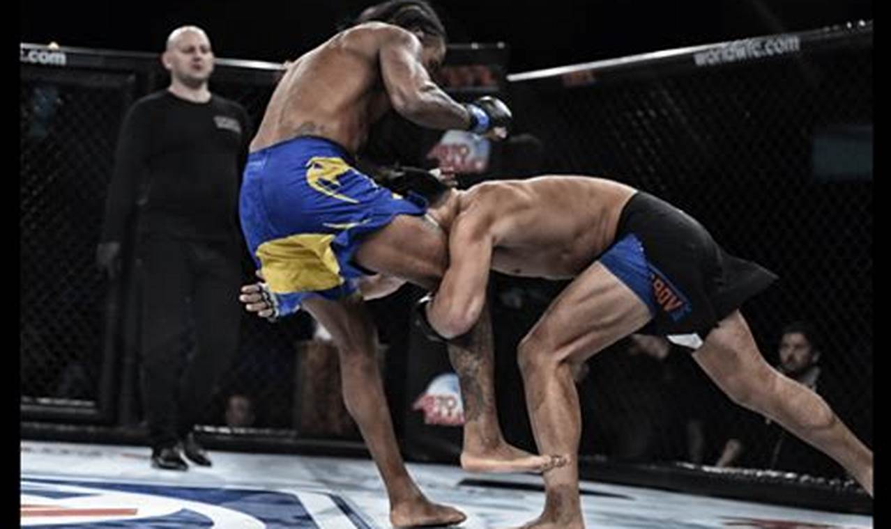 Essential MMA Techniques for Fighters | Ultimate Guide to MMA: Training, Techniques, and Top Fighters in The World