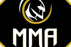 Forging an MMA Legacy: Fighters' Enduring Impact | Ultimate Guide to MMA: Training, Techniques, and Top Fighters in The World