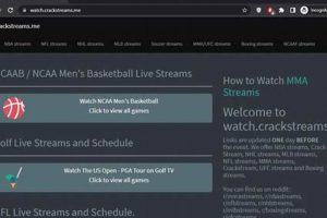 Watch Live MMA Streams: Official & Safe Options | Ultimate Guide to MMA: Training, Techniques, and Top Fighters in The World
