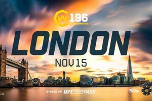 Unlock Your MMA Indigo Point: A Fighter's Guide | Ultimate Guide to MMA: Training, Techniques, and Top Fighters in The World