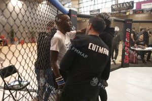 The Best Club MMA Training and Fitness | Ultimate Guide to MMA: Training, Techniques, and Top Fighters in The World