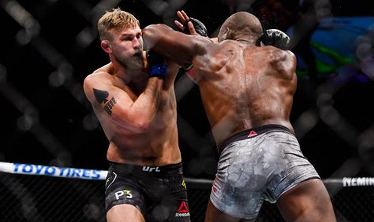 e-mma: Your Pregnancy Companion Ultimate Guide to MMA: Training, Techniques, and Top Fighters in The World e-mma: Your Pregnancy Companion | Ultimate Guide to MMA: Training, Techniques, and Top Fighters in The World