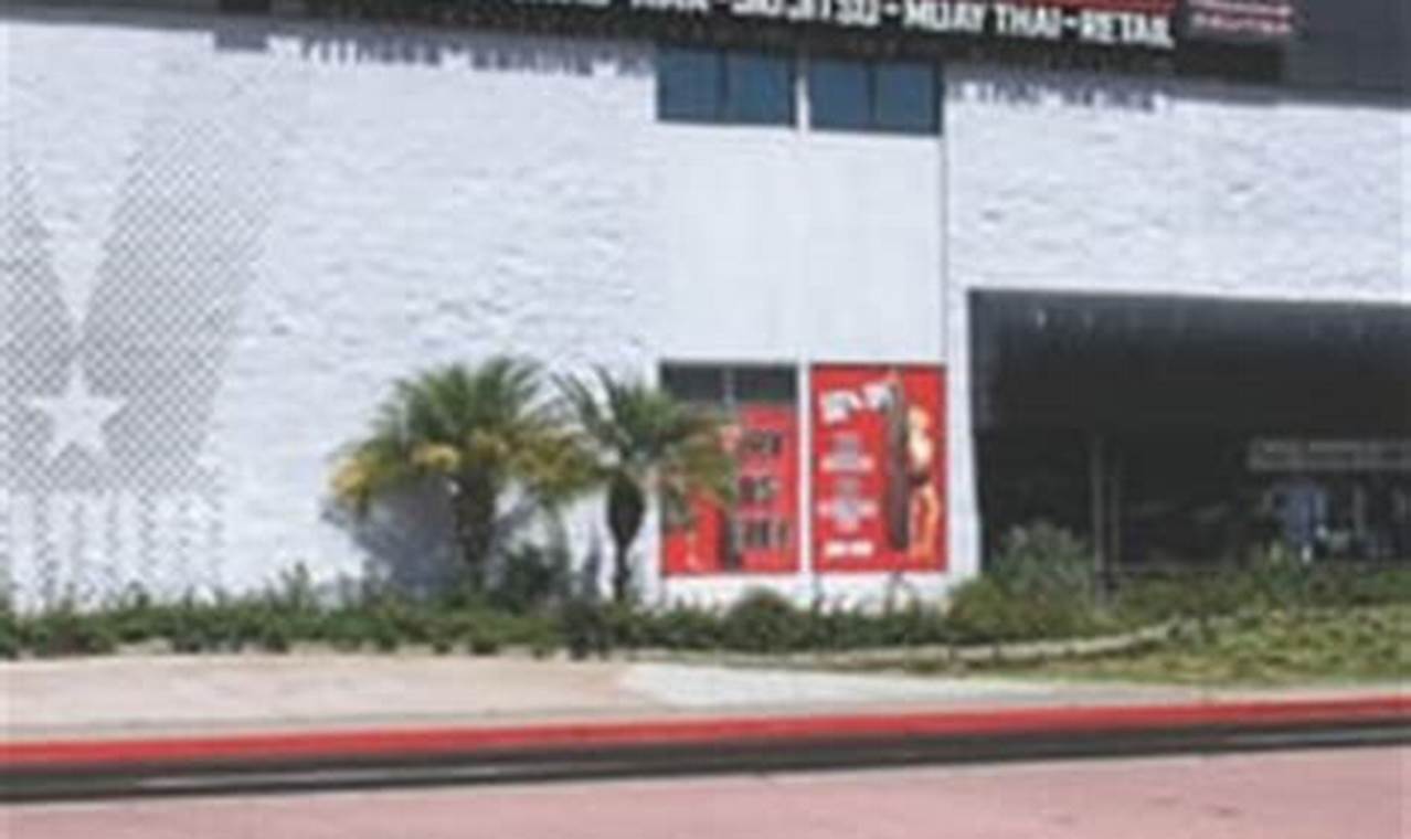 Train to Win | Victory MMA San Diego | MMA Gym Ultimate Guide to MMA: Training, Techniques, and Top Fighters in The World Train to Win | Victory MMA San Diego | MMA Gym | Ultimate Guide to MMA: Training, Techniques, and Top Fighters in The World