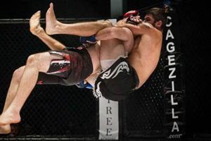Amateur to Pro MMA: How Many Fights? | Ultimate Guide to MMA: Training, Techniques, and Top Fighters in The World