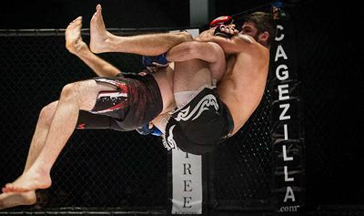 Amateur to Pro MMA: How Many Fights? | Ultimate Guide to MMA: Training, Techniques, and Top Fighters in The World