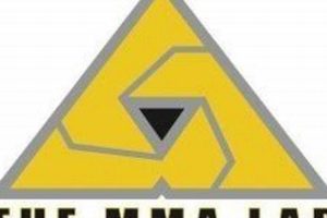 Mma Lab Glendale Az | Ultimate Guide to MMA: Training, Techniques, and Top Fighters in The World