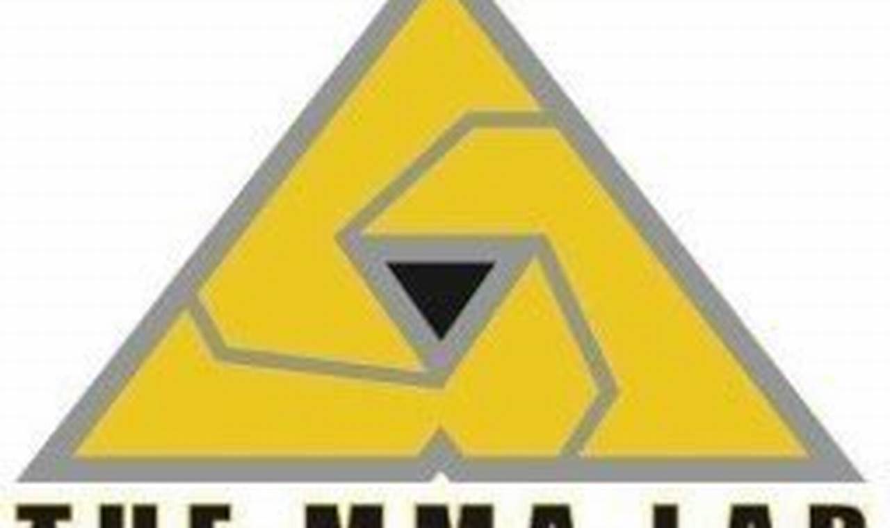 Mma Lab Glendale Az | Ultimate Guide to MMA: Training, Techniques, and Top Fighters in The World