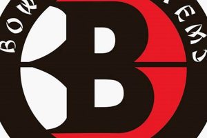 Elevate Your MMA with Bowman Systems | Ultimate Guide to MMA: Training, Techniques, and Top Fighters in The World