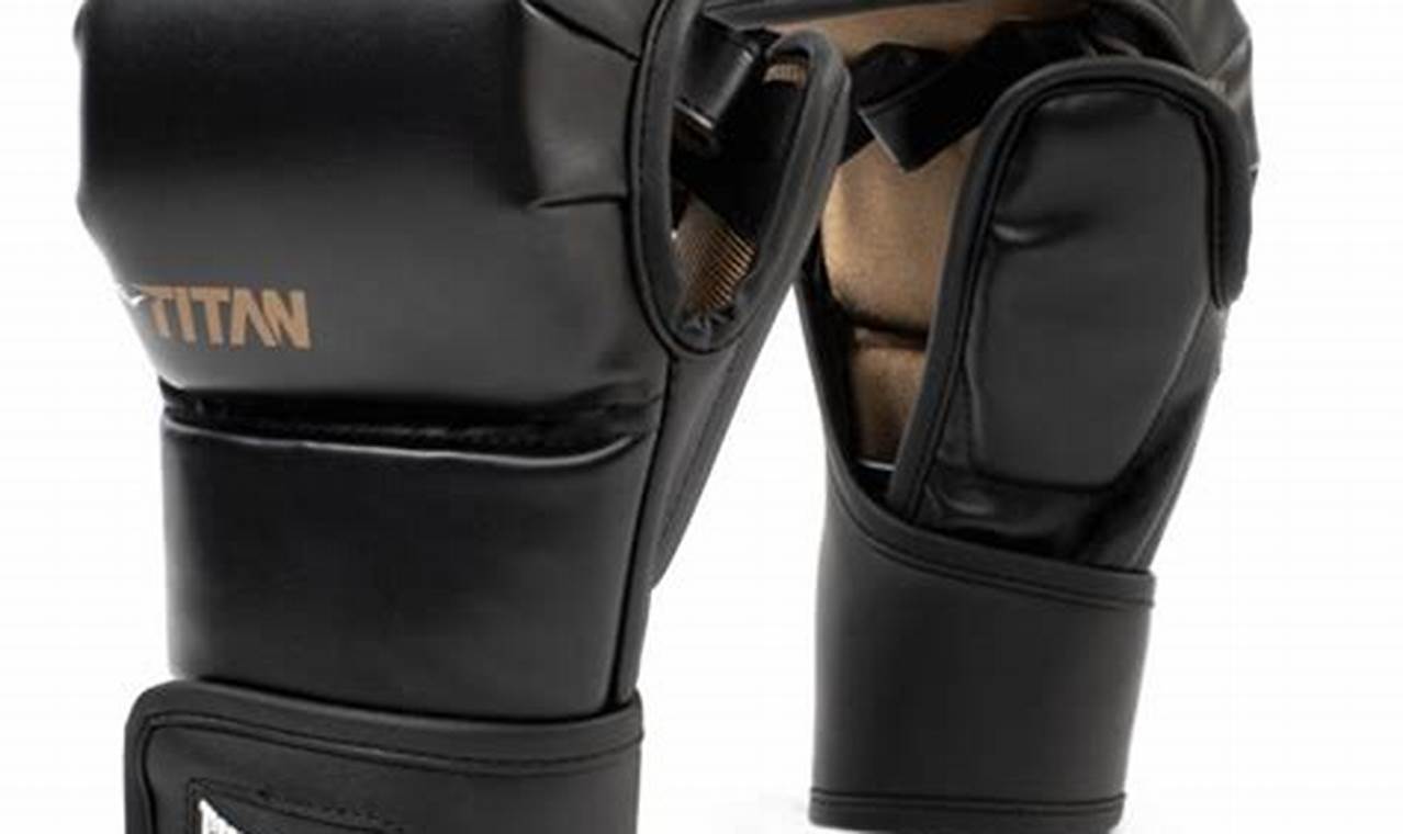 Essential MMA Gear: Guide & Top Picks | Ultimate Guide to MMA: Training, Techniques, and Top Fighters in The World