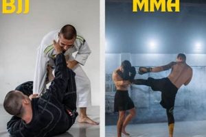 BJJ vs. MMA: Which Martial Art Is Right for You? Ultimate Guide to MMA: Training, Techniques, and Top Fighters in The World BJJ vs. MMA: Which Martial Art Is Right for You? | Ultimate Guide to MMA: Training, Techniques, and Top Fighters in The World